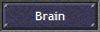 Brain